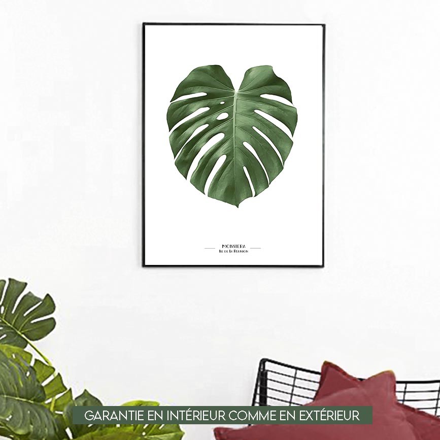 Monstera - 60x80cm