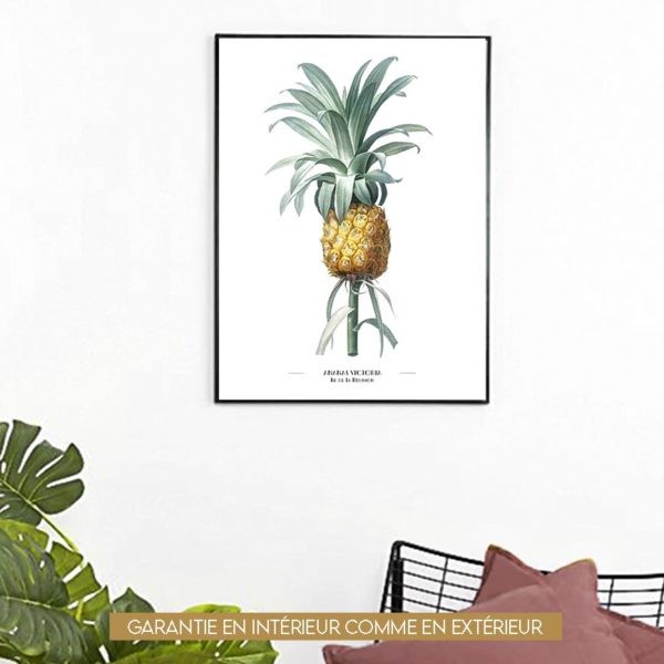 Ananas Victoria - 60x80cm