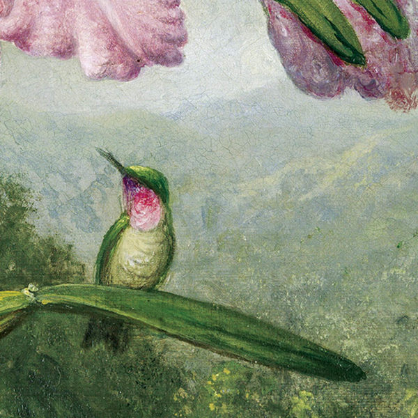 Gros plan - Orquidea y colibri