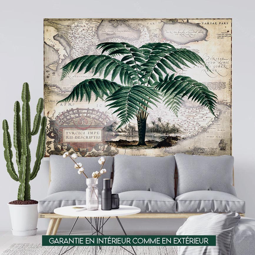 Dicksonia Antartica sur carte - 150x200cm