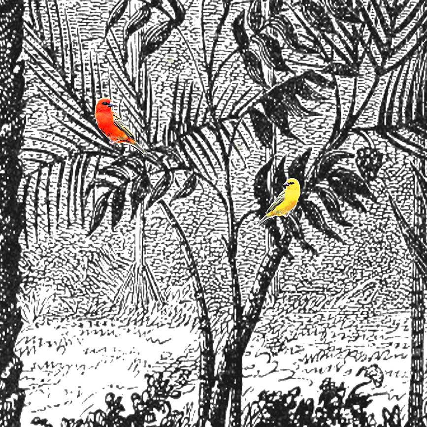 KAKEMONO ROUYER 2 – Image 3