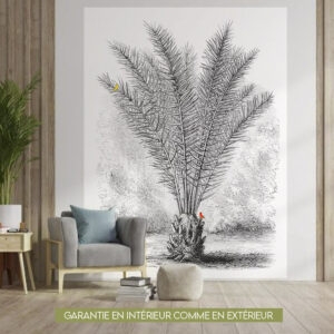 Phoenix dactylifera nb 150x200cm