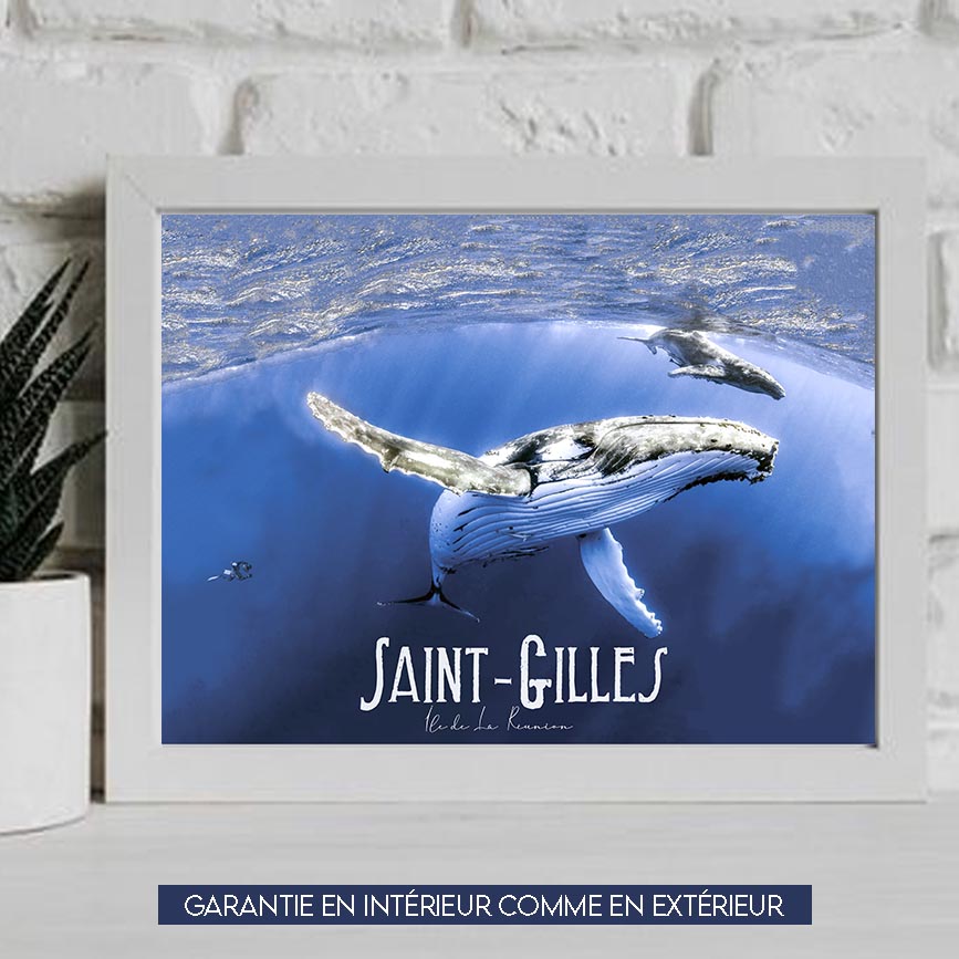 les baleines a saint gilles 30x40 cm