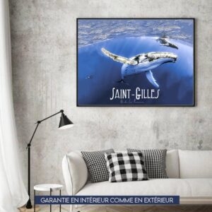 les baleines a saint gilles 90x120cm