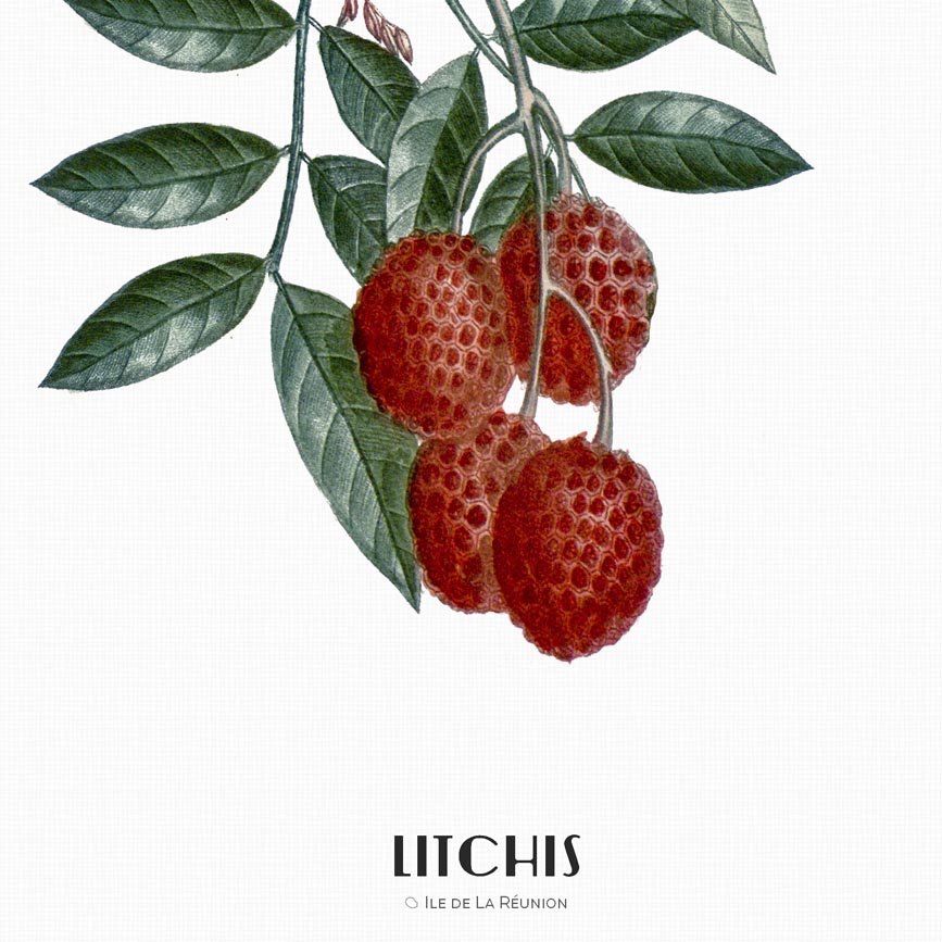 Perspective Set de table Litchis gros plan 01