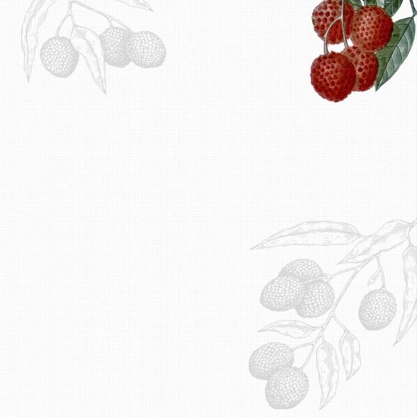 Perspective Set de table Litchis gros plan 02