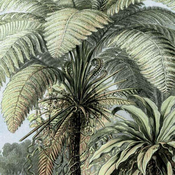 Kakemono filicinae couleur fd clr gros plan