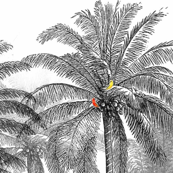 gabarit produits 2025 Kakemonos coco repetable nb gros plan