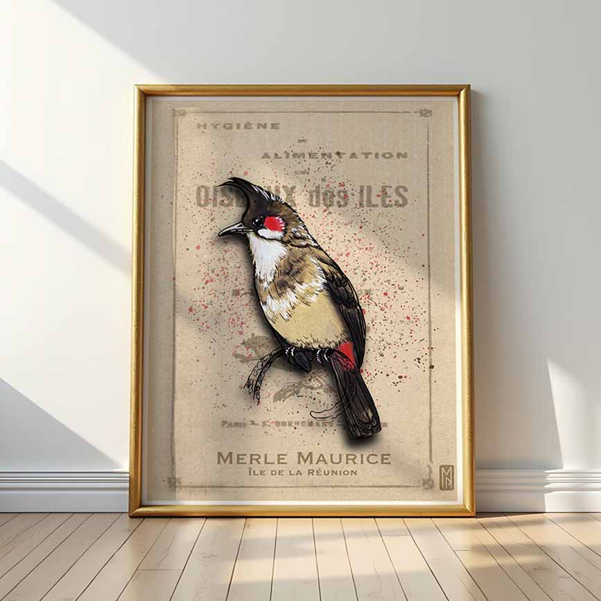 Merle maurice 70x100cm