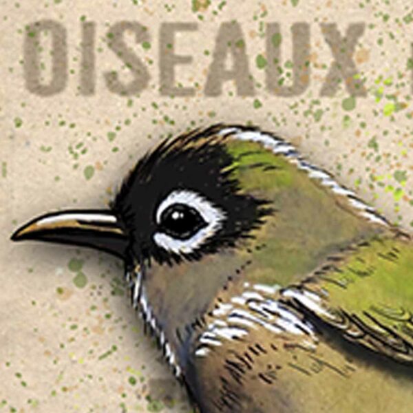 Zoizo vert Gros plan