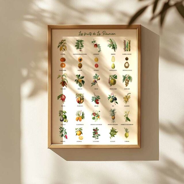Tous les fruits 30x40 cm varangue exterieure